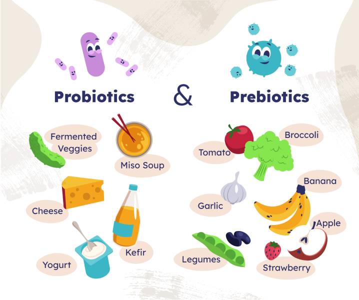 prebiotici e probiotici
